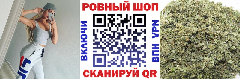 Наркотические вещества Сясьстрой СК ТГК ГАШ Бошки Шишки Cocaine Галлюциногенные грибы