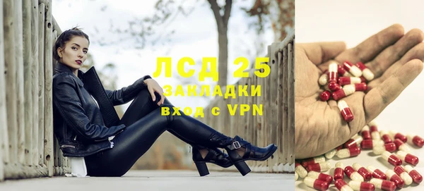 дживик Абинск